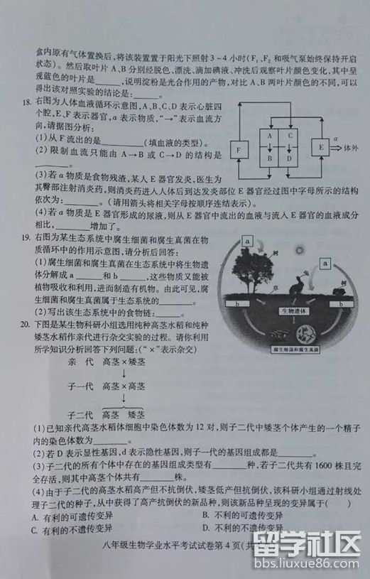 4.png 758dae90a1e467b01b98fa6d8c9aec6c.jpg