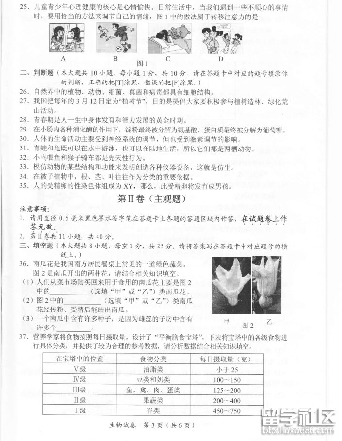 3.png b406e749b0fa40a227e3f01a57ff518c.jpg