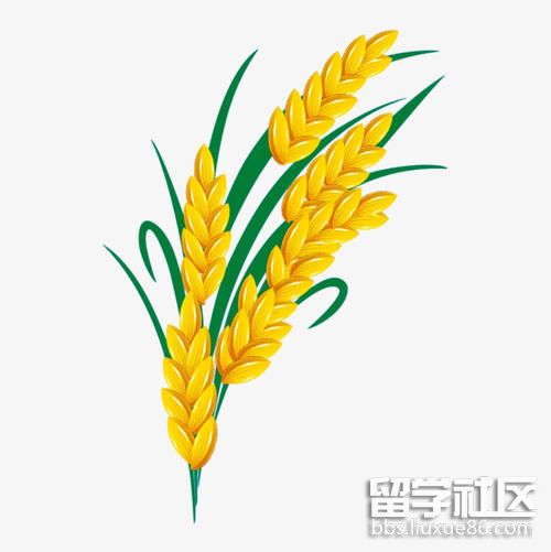 u=3258102141,3208832692&fm=26&gp=0.jpg u=3258102141,3208832692&fm=26&gp=0.jpg