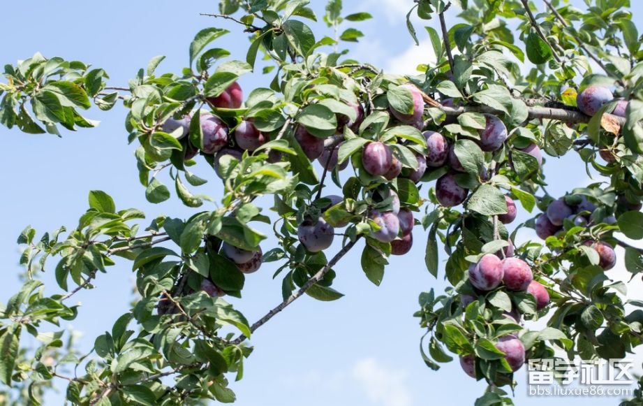 微信图片_20220519150213.png...</div></body></html> 46f4dd63a0cfa90b5c05f0cf86126b5f.jpg