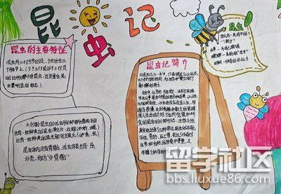 昆虫记手抄报简单又漂亮(2).jpg 昆虫记手抄报简单又漂亮(2).jpg